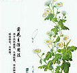 麹 ҽ